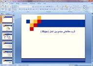پاورپوینت گروه مطالعاتی مجامع بین الملل (Ripe)